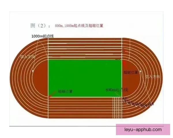 精准预测与分析：掌握体育竞猜技巧助你稳步获胜
